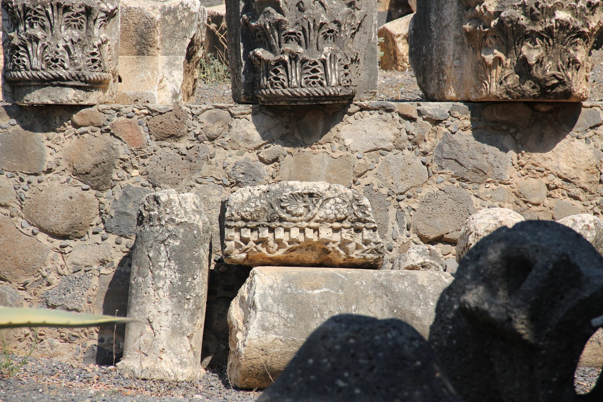 Capharnaum 7